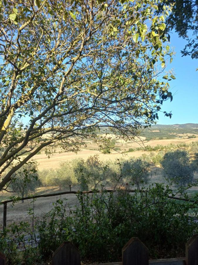 Agriturismo Podere Cherzo Cinigiano Eksteriør bilde