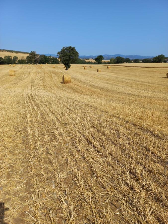 Agriturismo Podere Cherzo Cinigiano Eksteriør bilde