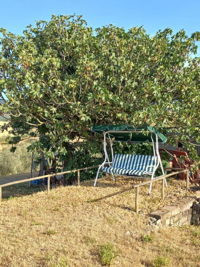 Agriturismo Podere Cherzo Cinigiano Eksteriør bilde